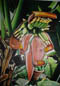 new Bananas (smallest photo)